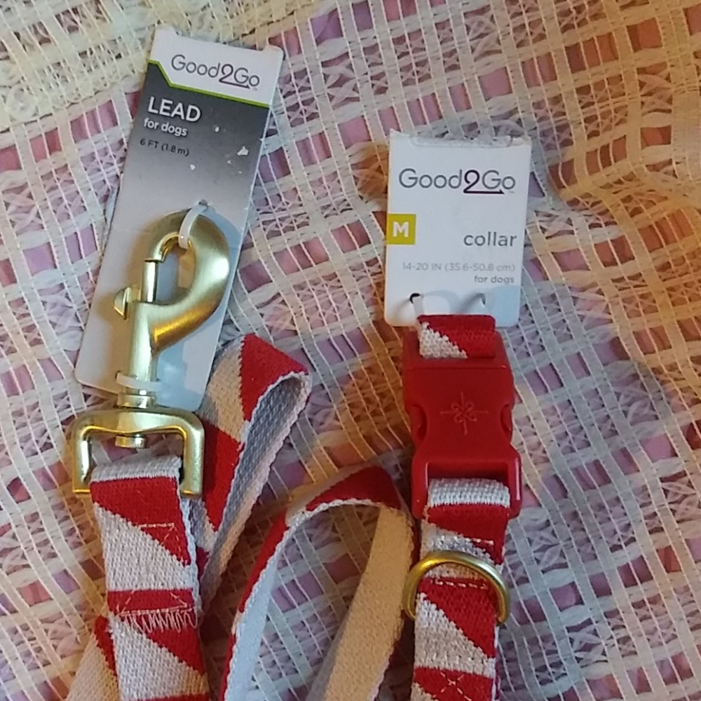 (Med)Dog Lead w/ collar